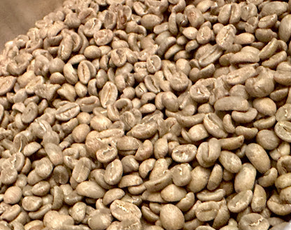 Papaya Co-Fermentation