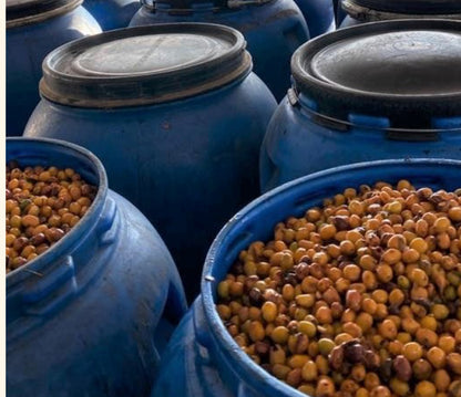 Raspberry Co-Ferm (Edwin Noreña)