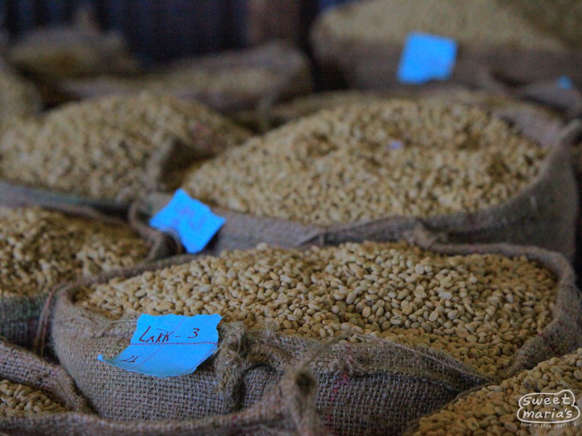Ethiopia - Gera Nano Challa - Washed
