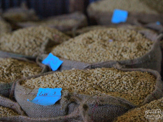 Ethiopia - Gera Nano Challa - Washed