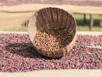 Ethiopia - Yirga Cheffe - Natural